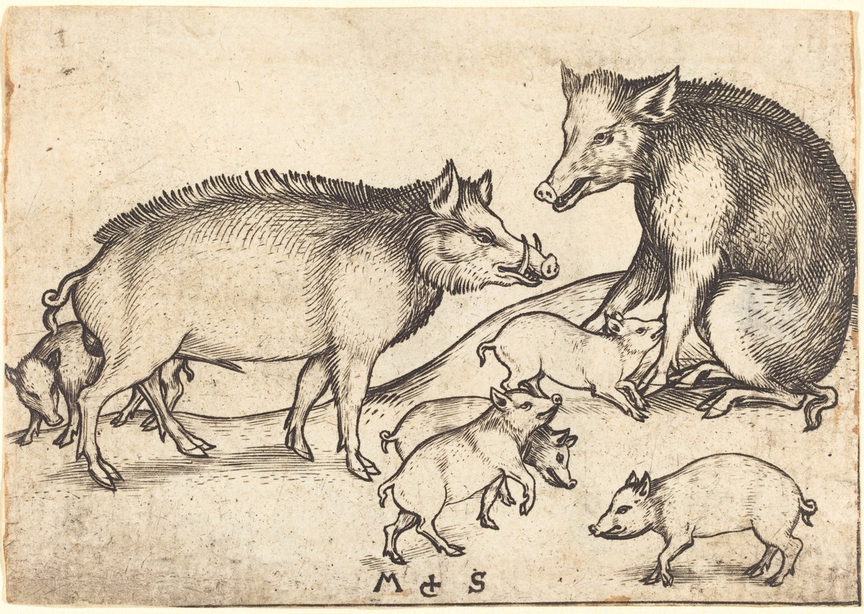 Família de porcos de Martin Schongauer
