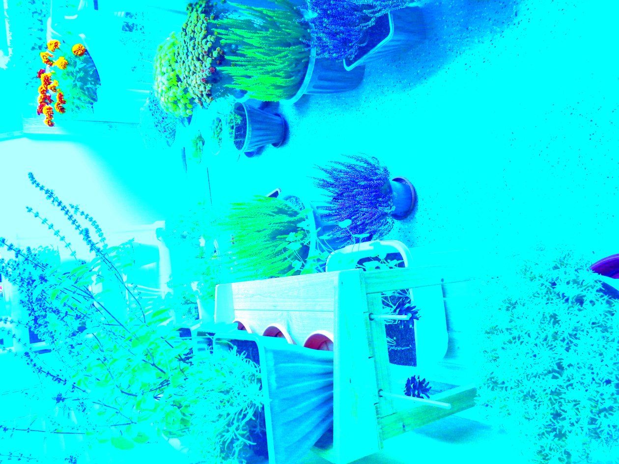 Jardinagem de Martina Konitzky