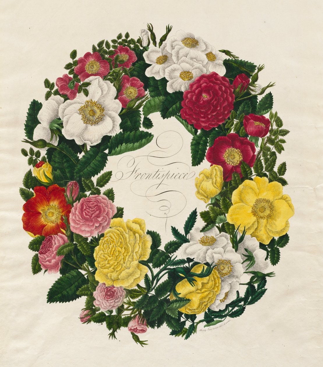 Uma coroa de rosas, 1799. de Mary Lawrence