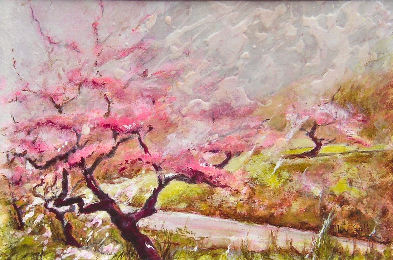 flor de amendoeira nas montanhas de Mary Smith