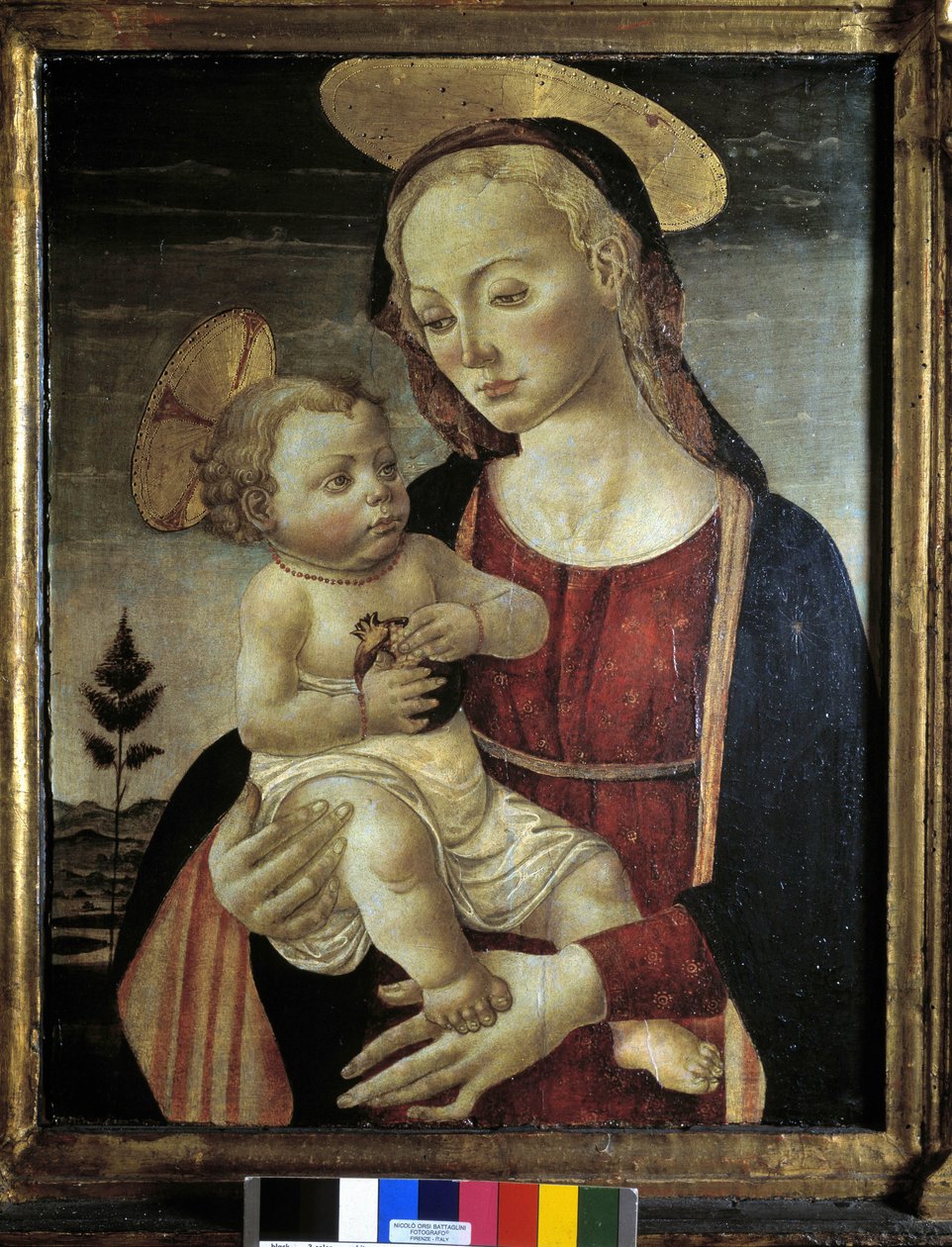 Imagem desconhecida de Master of San Miniato