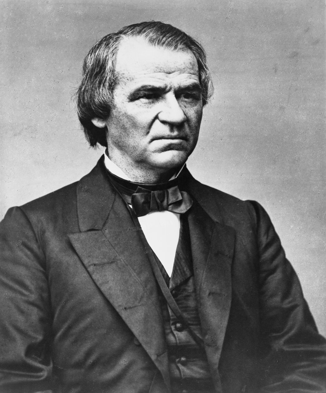Andrew Johnson, c.1855-65 de Mathew B. Brady