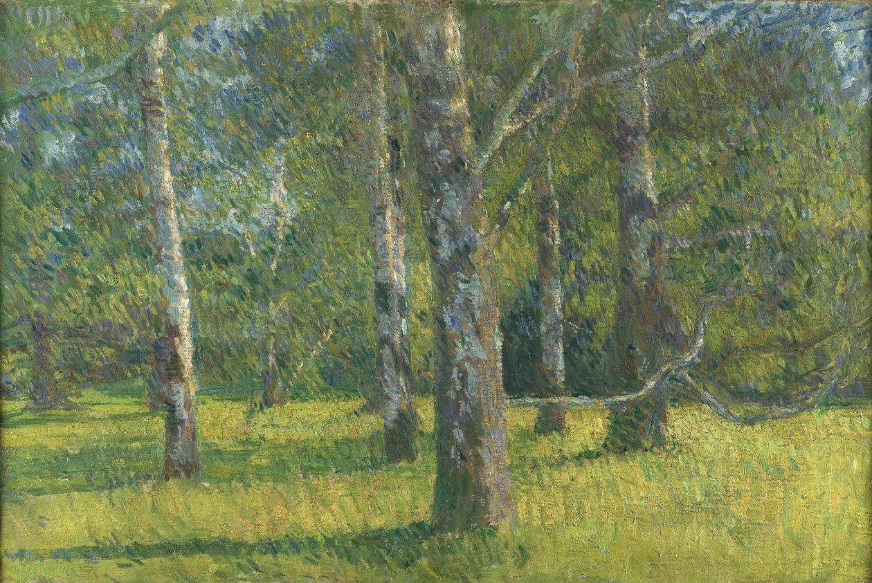 Bétulas em Laxenburg de Matija Jama
