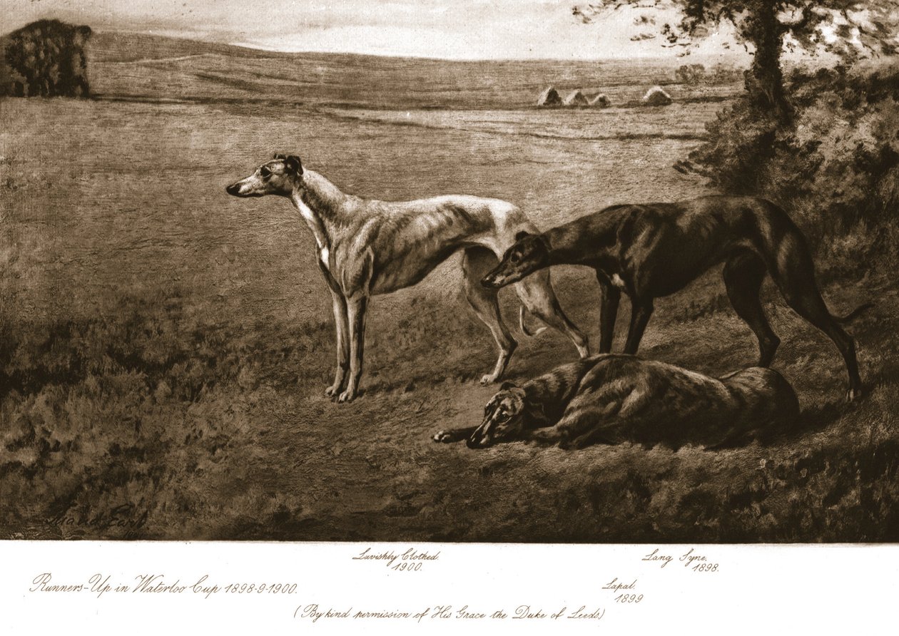 O Duque de Leeds persegue, 1911. de Maud Earl