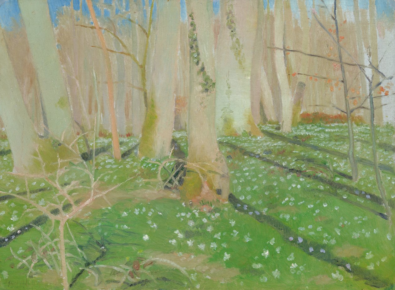 Forest with anemonies, 1889 (óleo no cartão) de Maurice Denis