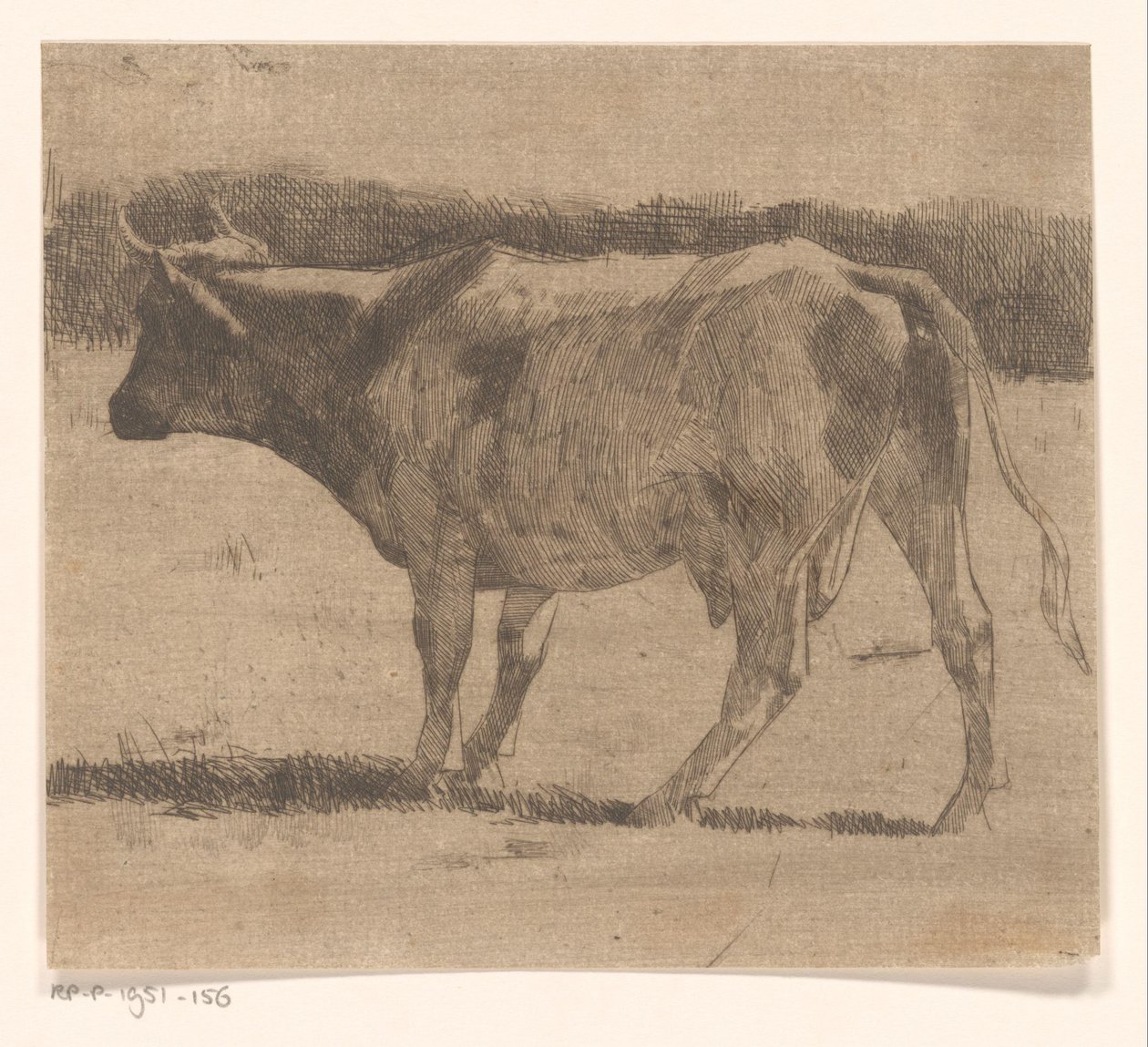 Vaca num prado de Maurits van der Valk