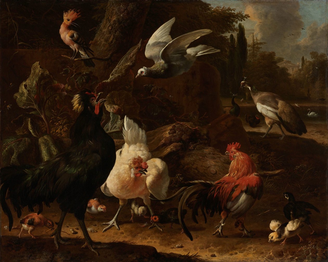 Aves em um parque de Melchior d