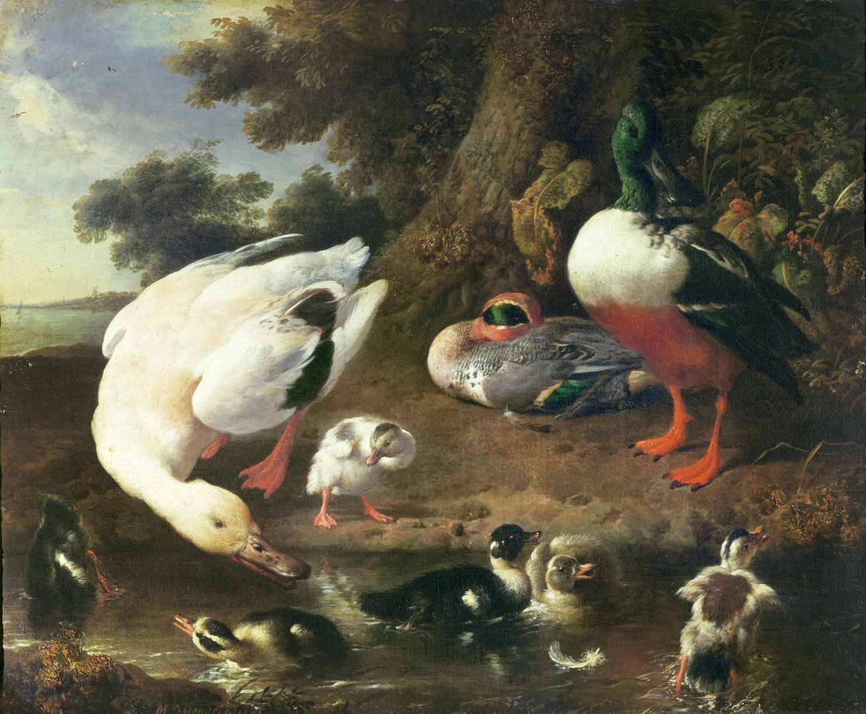 Patos de capoeira de Melchior de Hondecoeter
