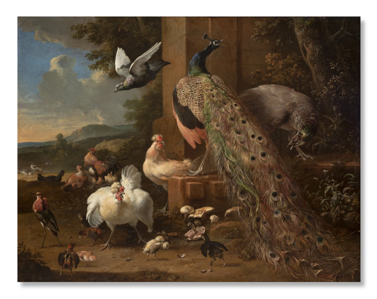 Menagerie, c.1680 de Melchior de Hondecoeter