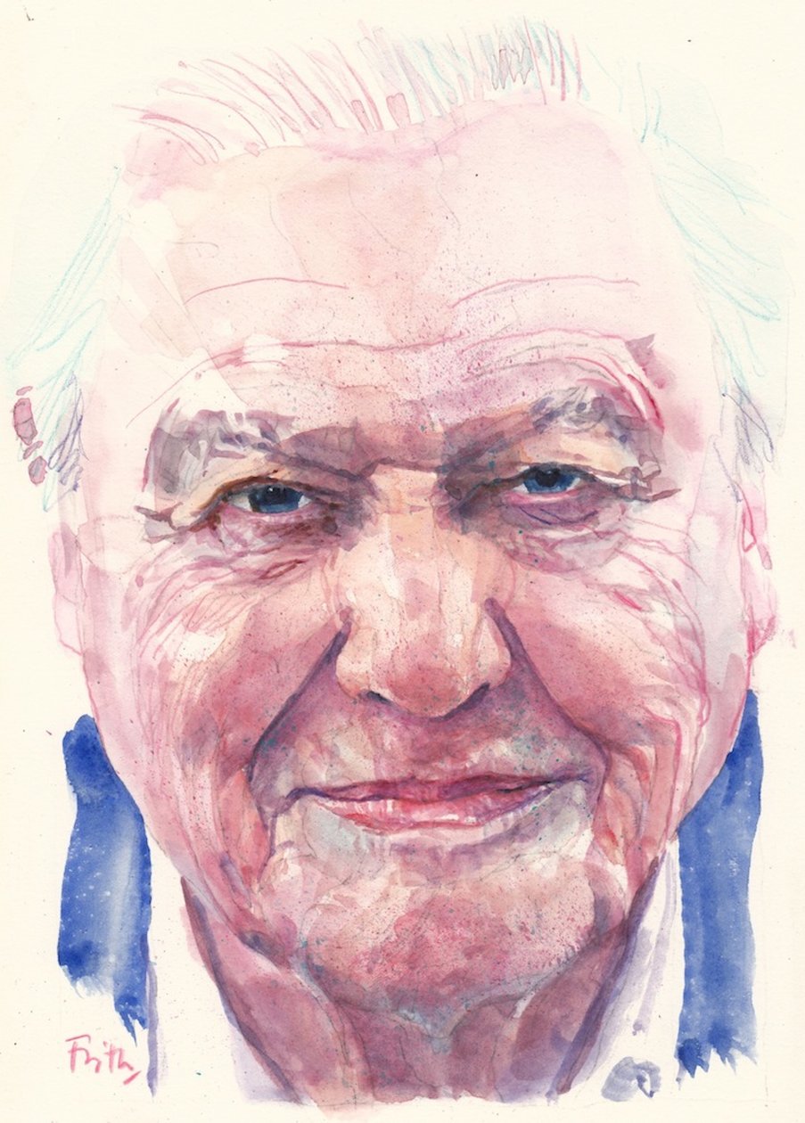 Sir David Attenborough (aguarela) de Michael Frith