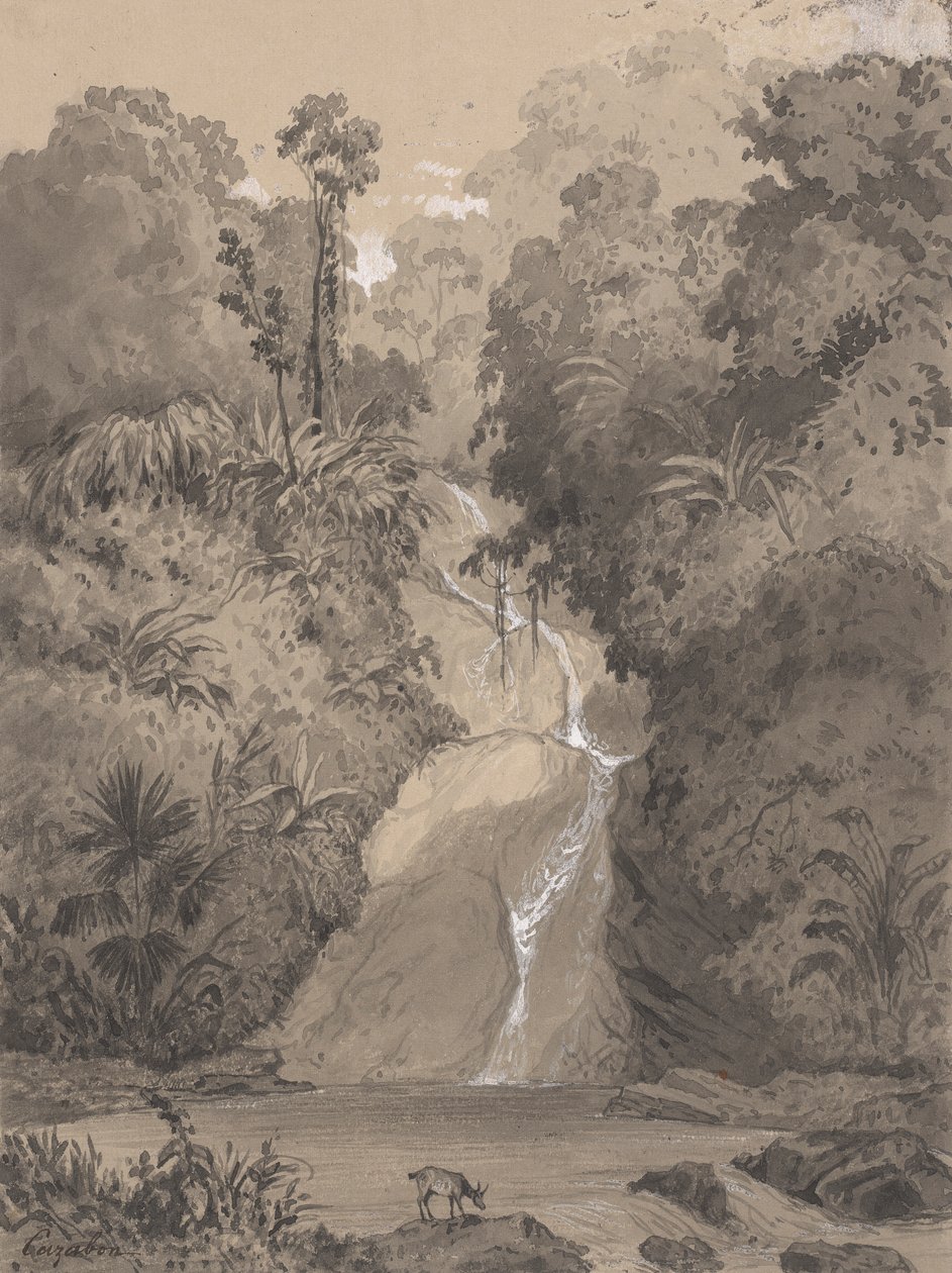 Cascata em St. Anns de Michel Jean Cazabon