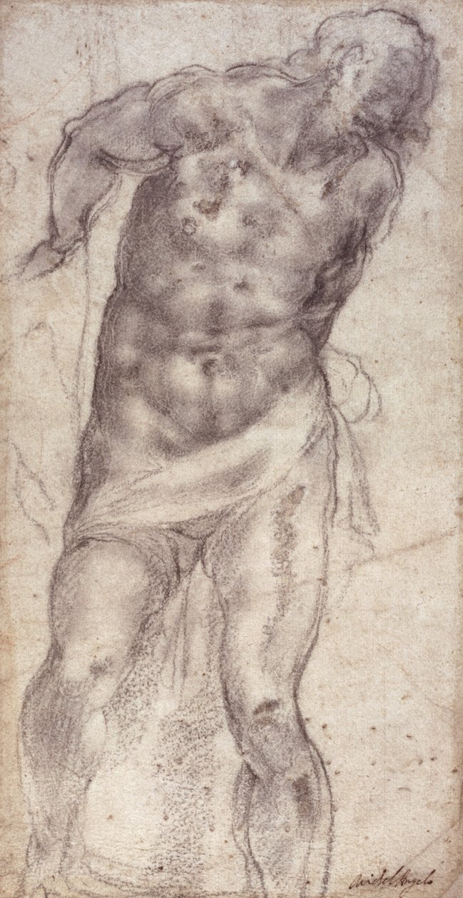 Figura Estudo de Michelangelo Buonarroti