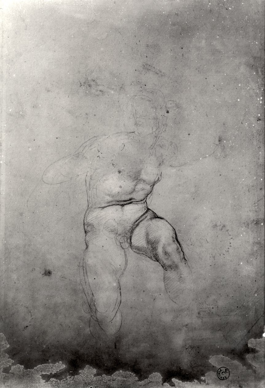 Nu masculino de Michelangelo Buonarroti