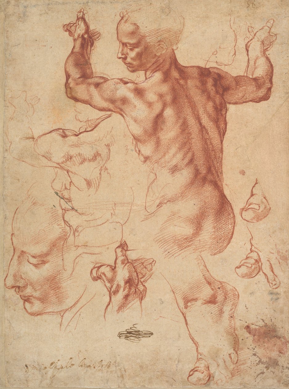 Estudos para a Sibila da Líbia (reto), c.1510-11 (giz vermelho sobre papel) de Michelangelo Buonarroti