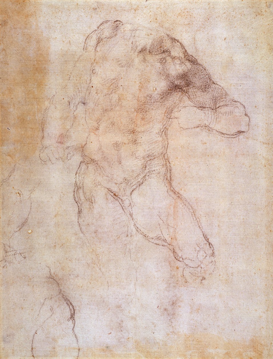 Estudo de um nu masculino de Michelangelo Buonarroti