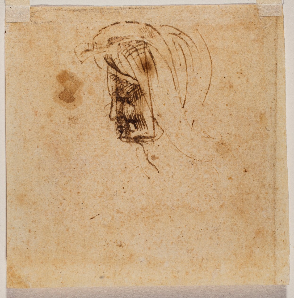 Cabeça de mulher de Michelangelo Buonarroti