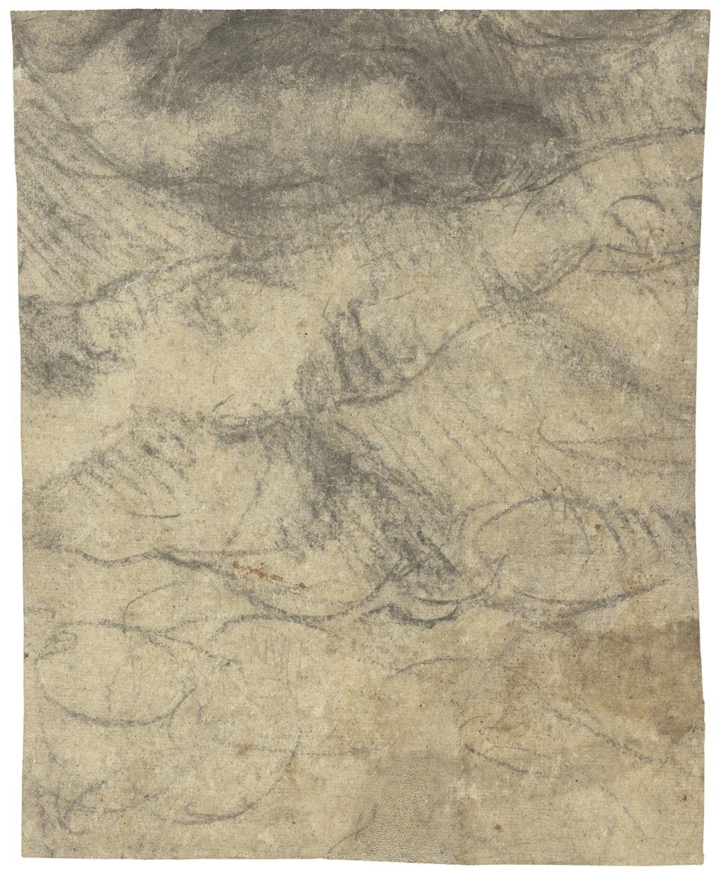 Nu masculino de Michelangelo Buonarroti