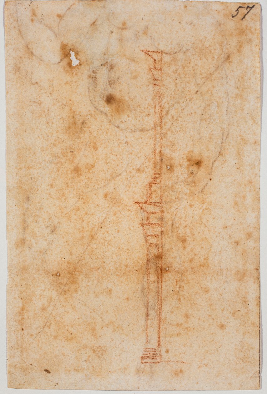 Perfil da parede de Michelangelo Buonarroti
