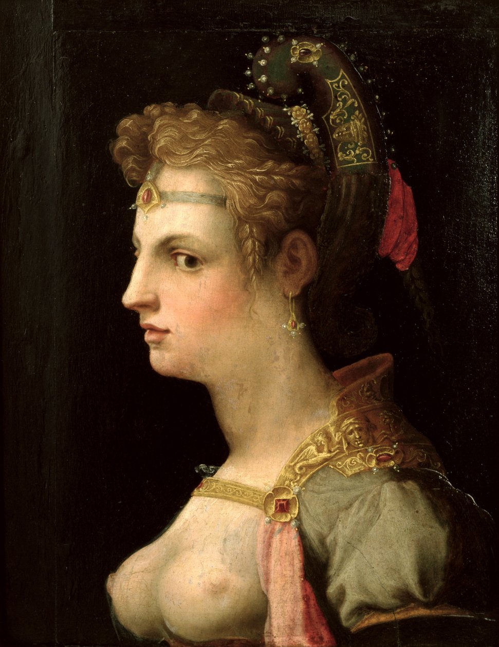 Venus Victrix de Michele di Ridolfo Tosini