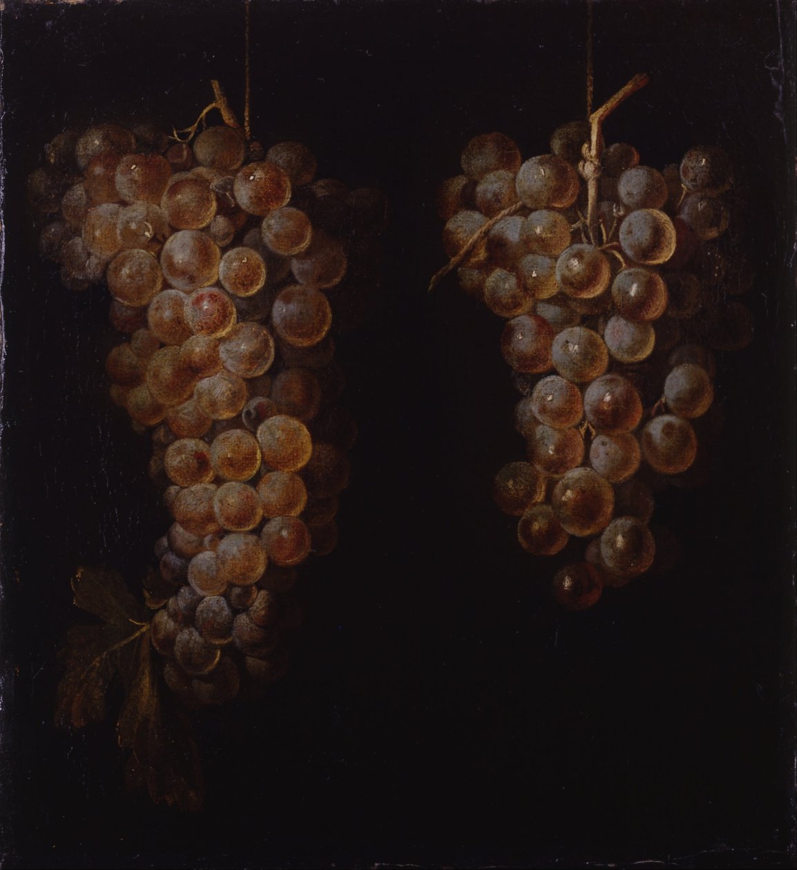 Cachos de uvas de Miguel de Pret