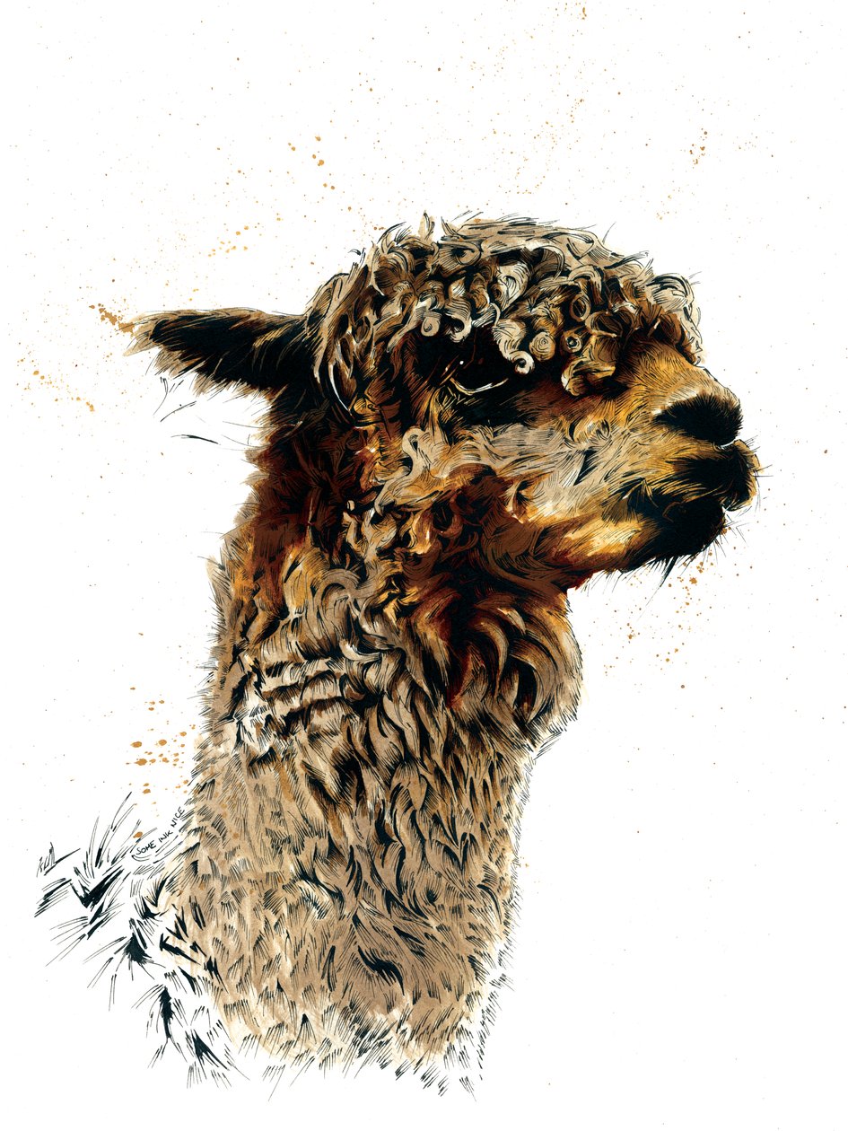 A Alpaca sobre Branco, 2019 de Mike Davis