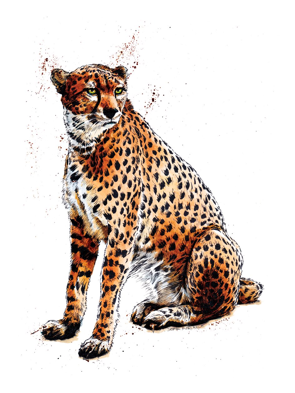 A Chita sobre Branco, 2020 de Mike Davis