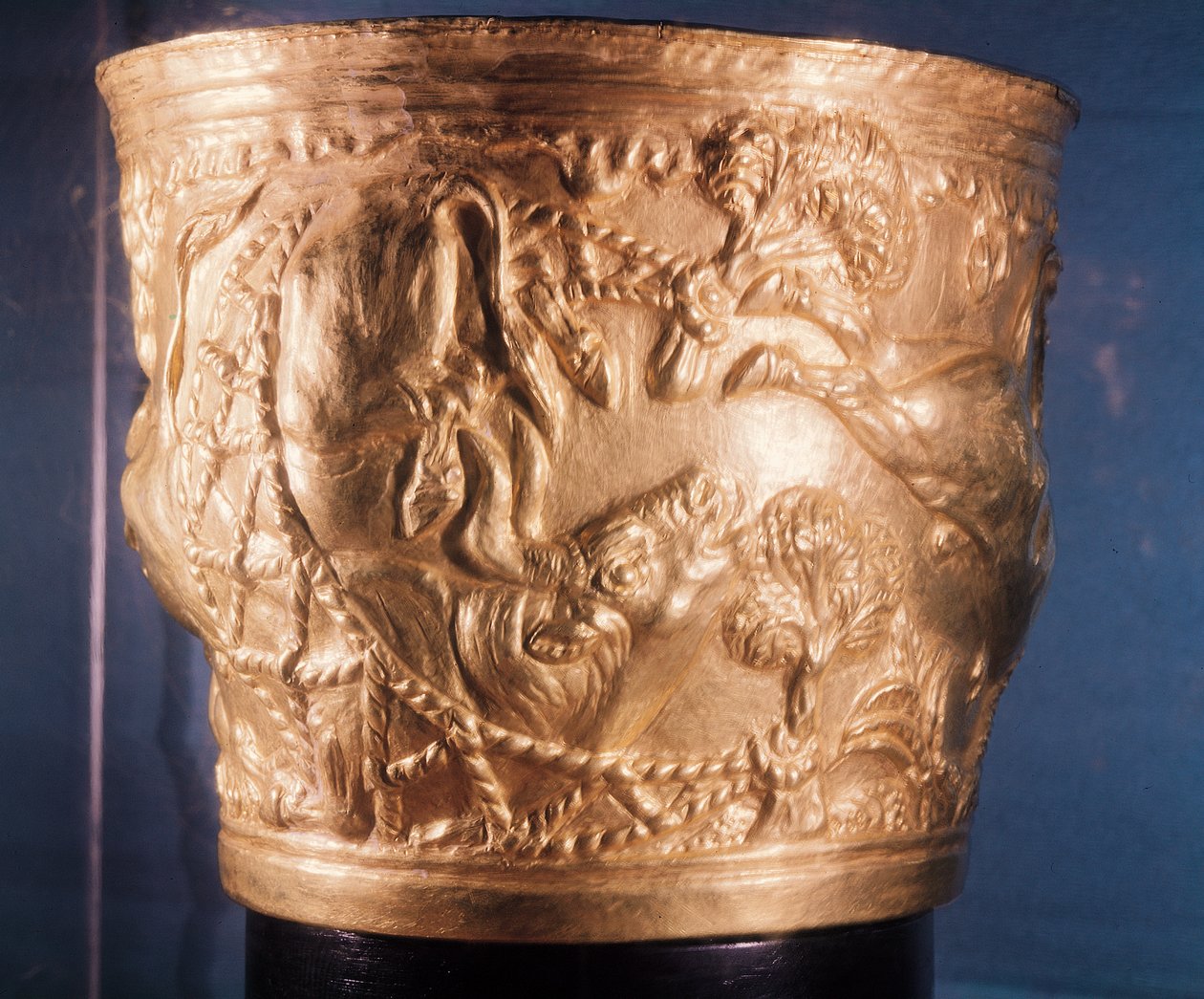 Taça, representando a captura de um touro selvagem, encontrada no túmulo real de Vaphio, Esparta, Minoan I, c.1500 aC (ouro) (ver também 148823) de Minoan