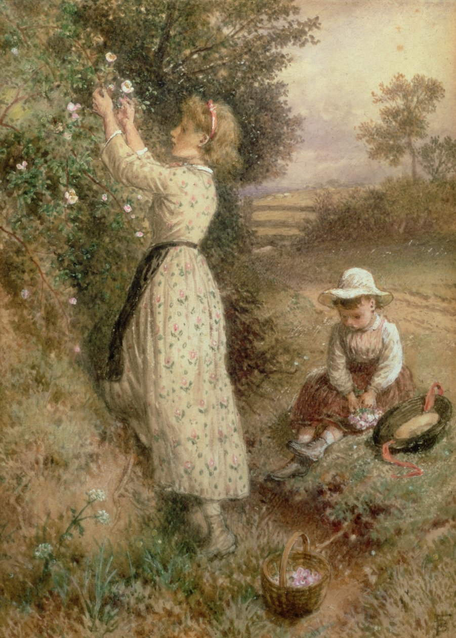 Rosas Selvagens de Myles Birket Foster
