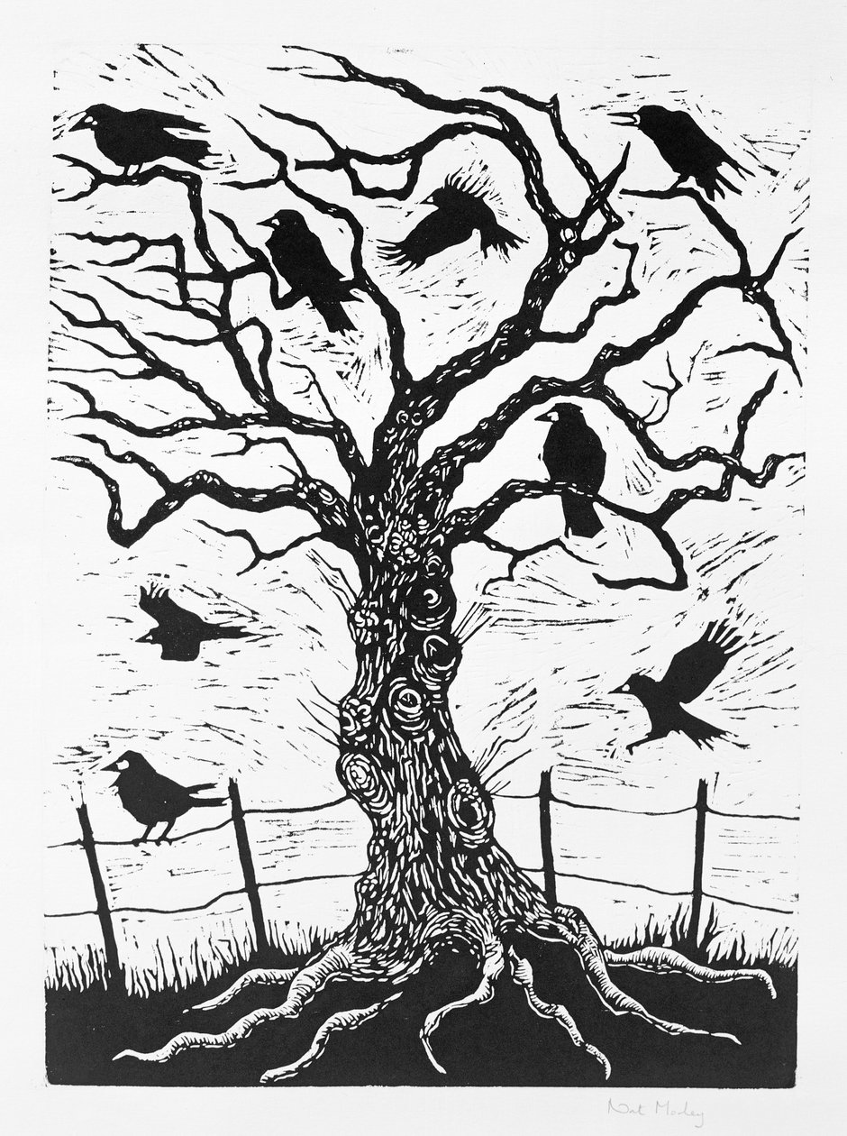 Rook Tree, 1999 de Nat Morley