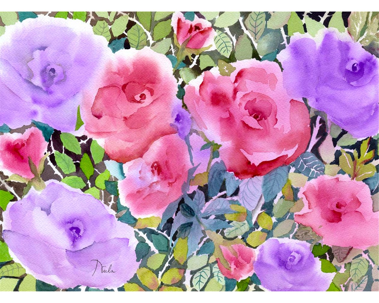 Jardim de rosas de Neela Pushparaj