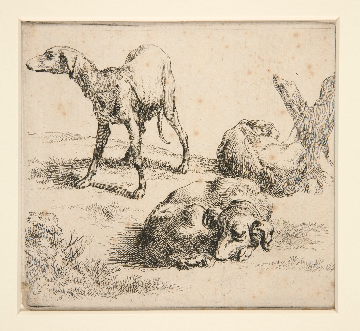 Três Cães de Caça (de de Nicolaes Berchem