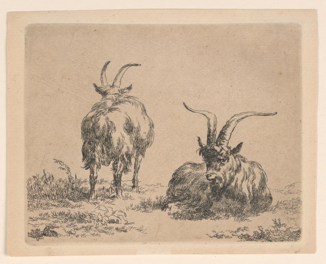 Duas cabras de Nicolaes Berchem