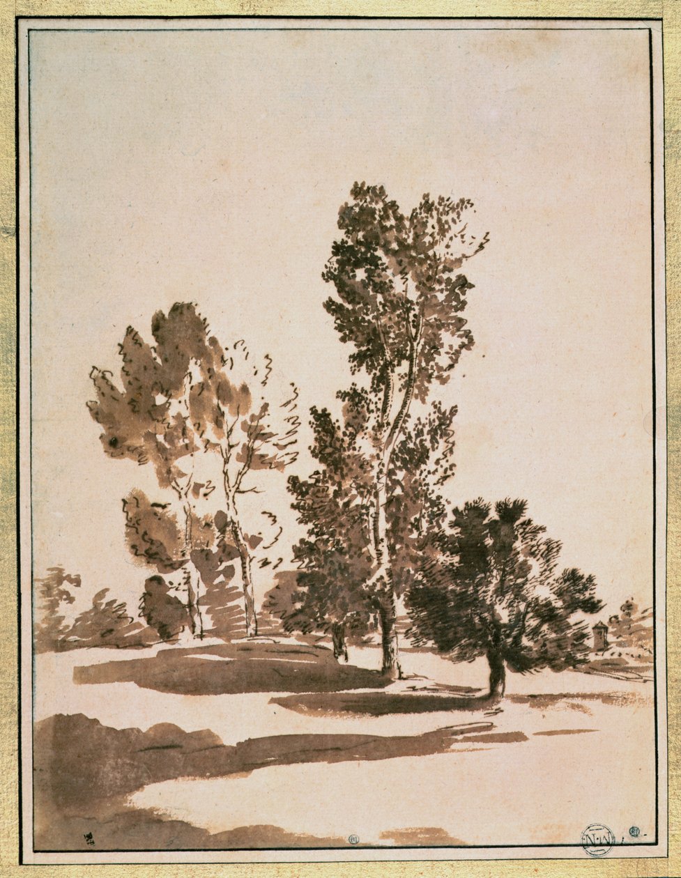 Estudo da árvore de Nicolas Poussin