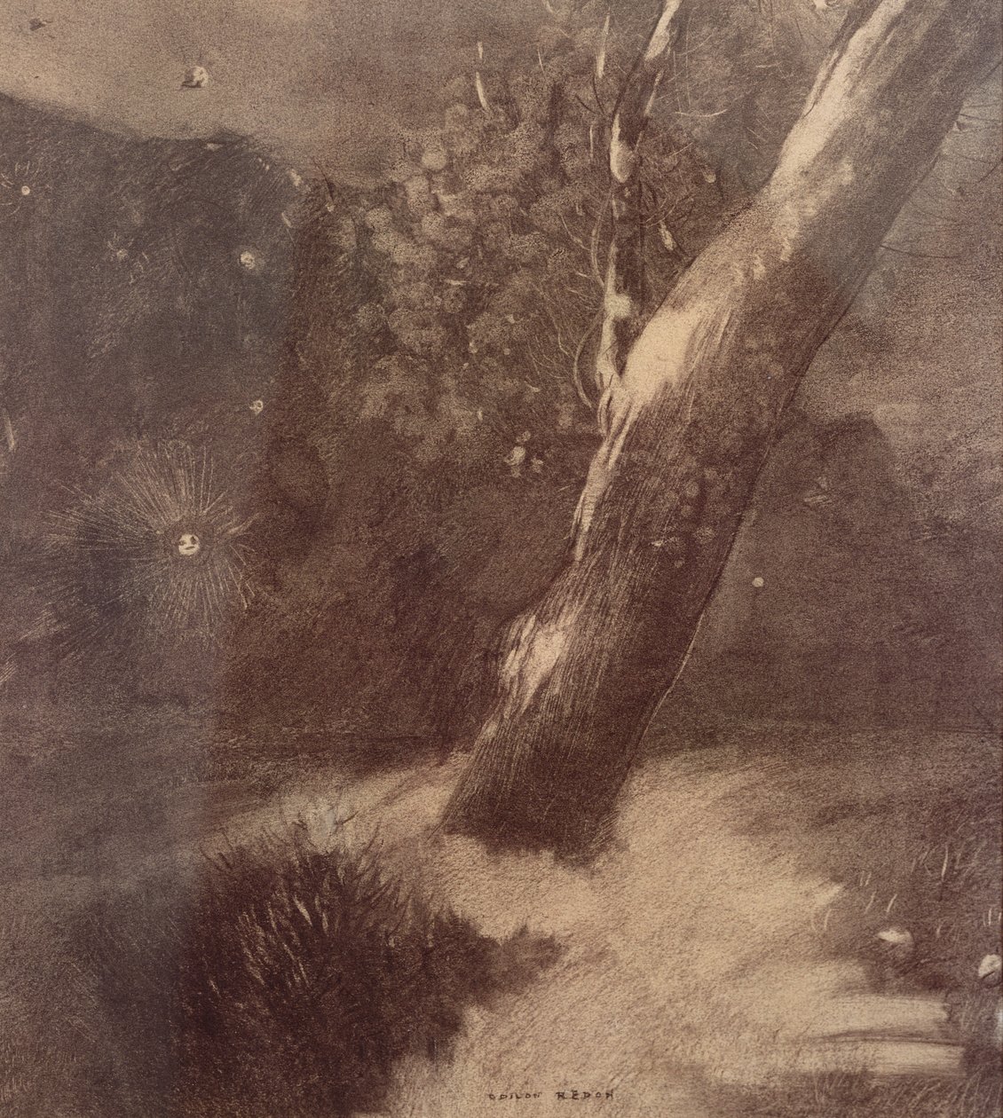 Árvore e estrelas (carvão) de Odilon Redon
