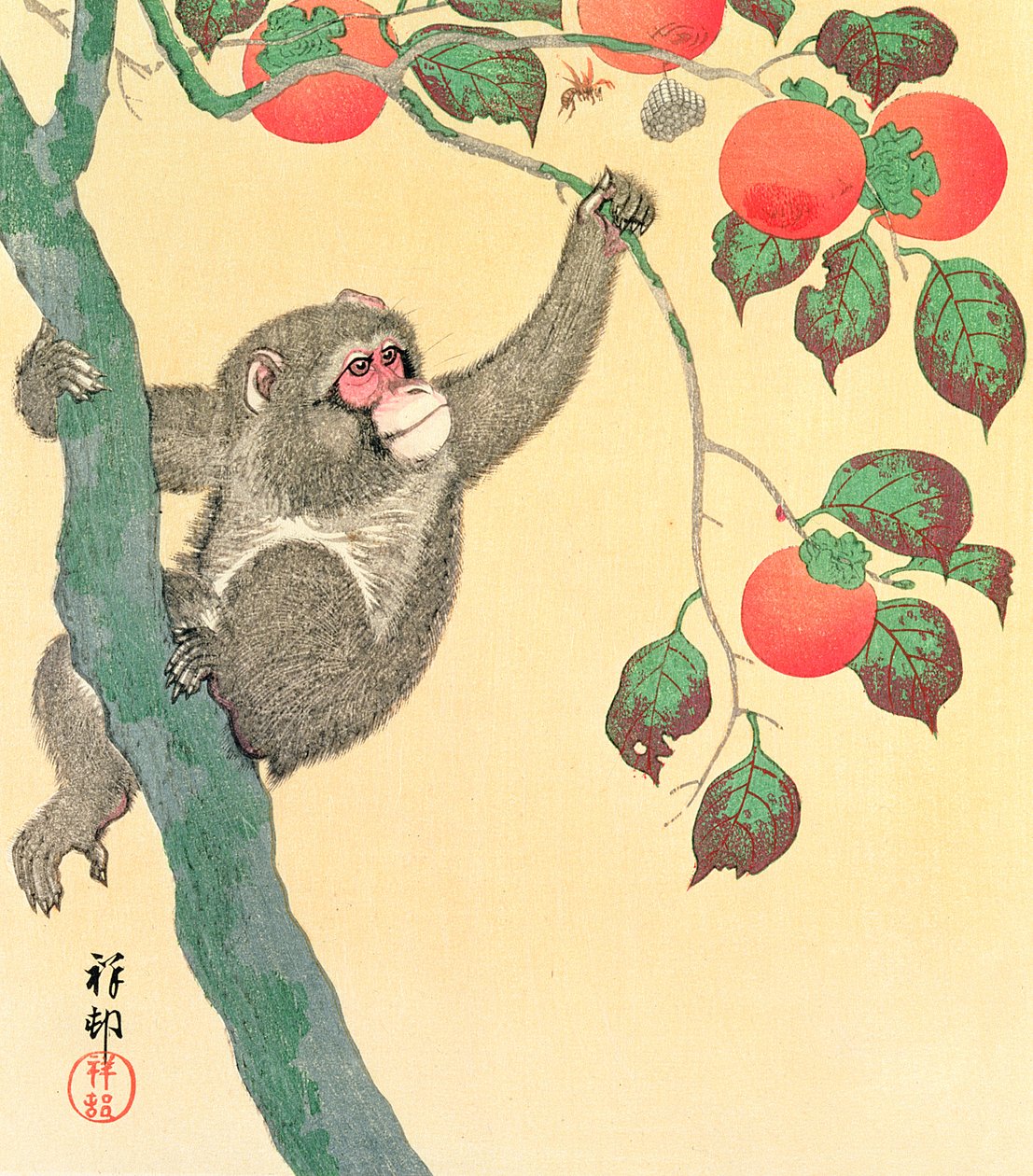 Macaco em uma árvore de caqui, 1935 (impressão de cor xilogravura) de Ohara Koson