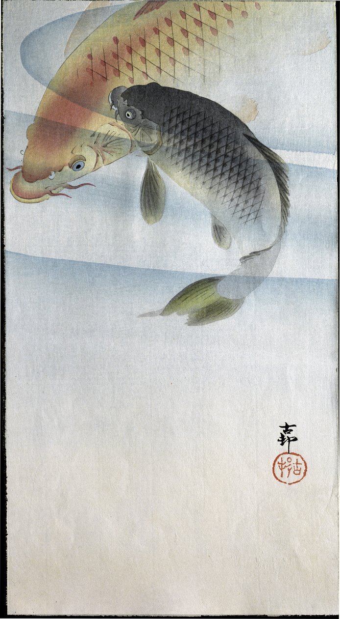 Duas carpas em um rio, 1907 de Ohara Koson