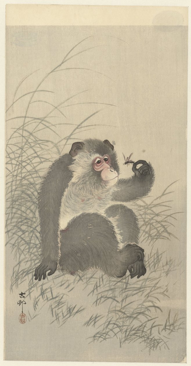 Macaco com insecto de Ohara Koson