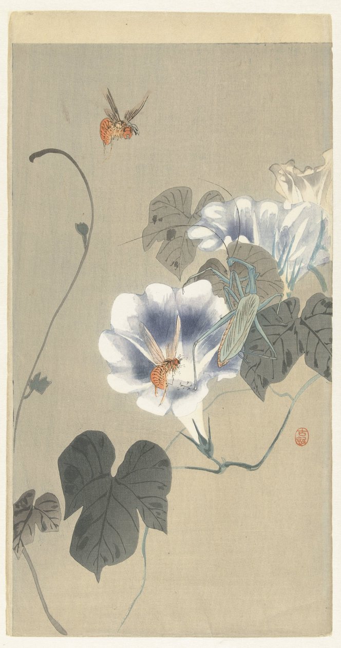 Insectos na bindweed de Ohara Koson