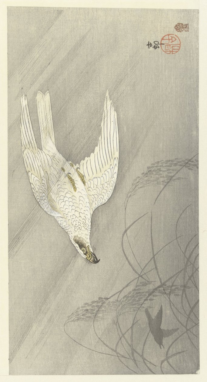 Falcão de caça de Ohara Koson