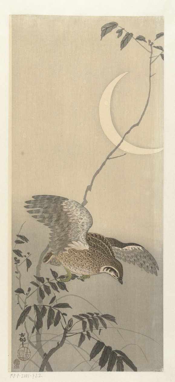 Codorniz na lua crescente de Ohara Koson