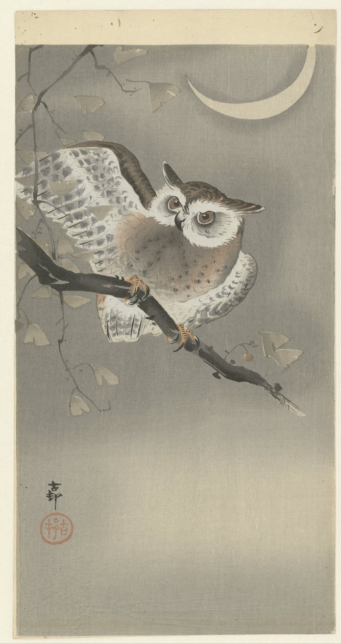 Ransuil em ginkgo de Ohara Koson