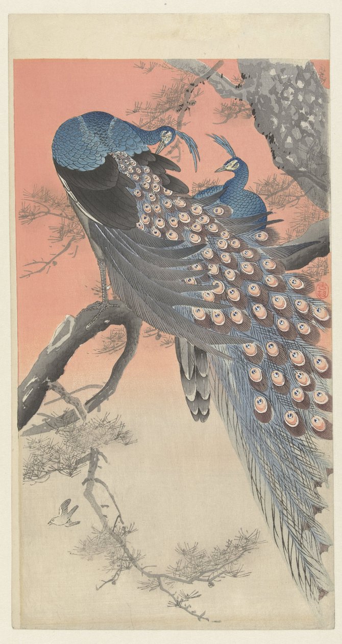 Dois pavões num ramo de árvore de Ohara Koson