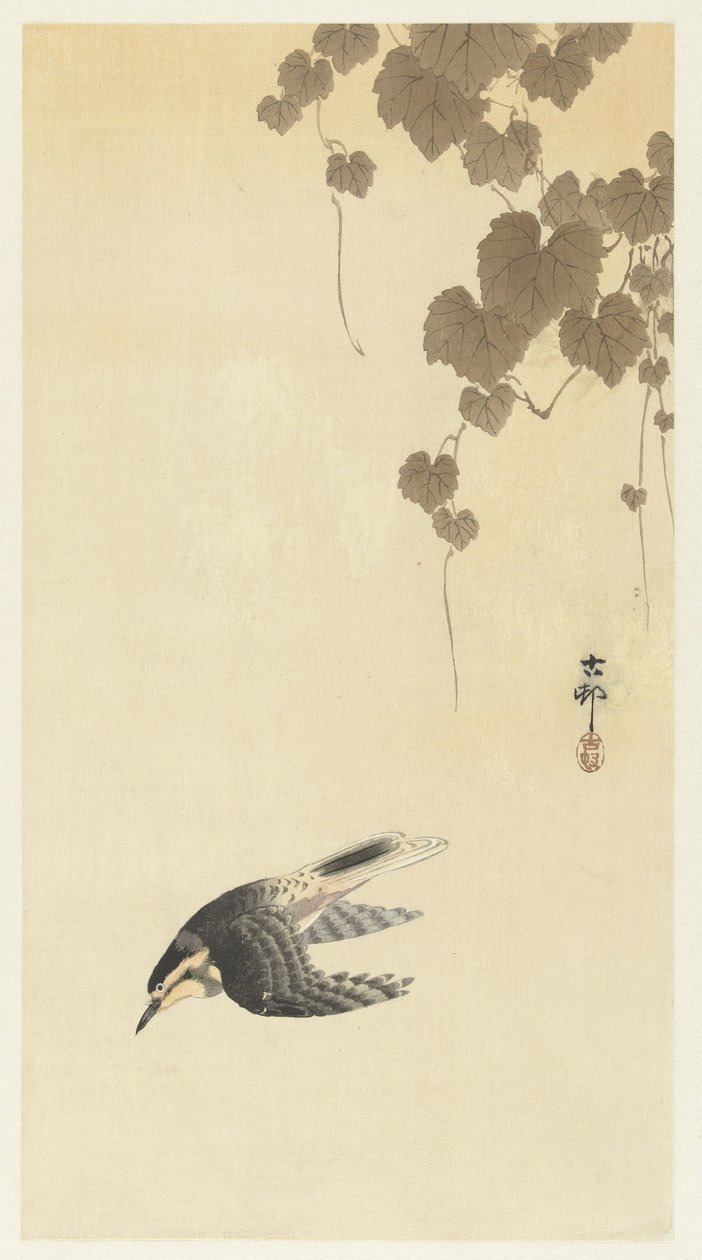 Pássaro em voo descendente de Ohara Koson