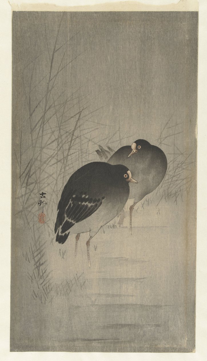 Moorhens entre palhetas de Ohara Koson