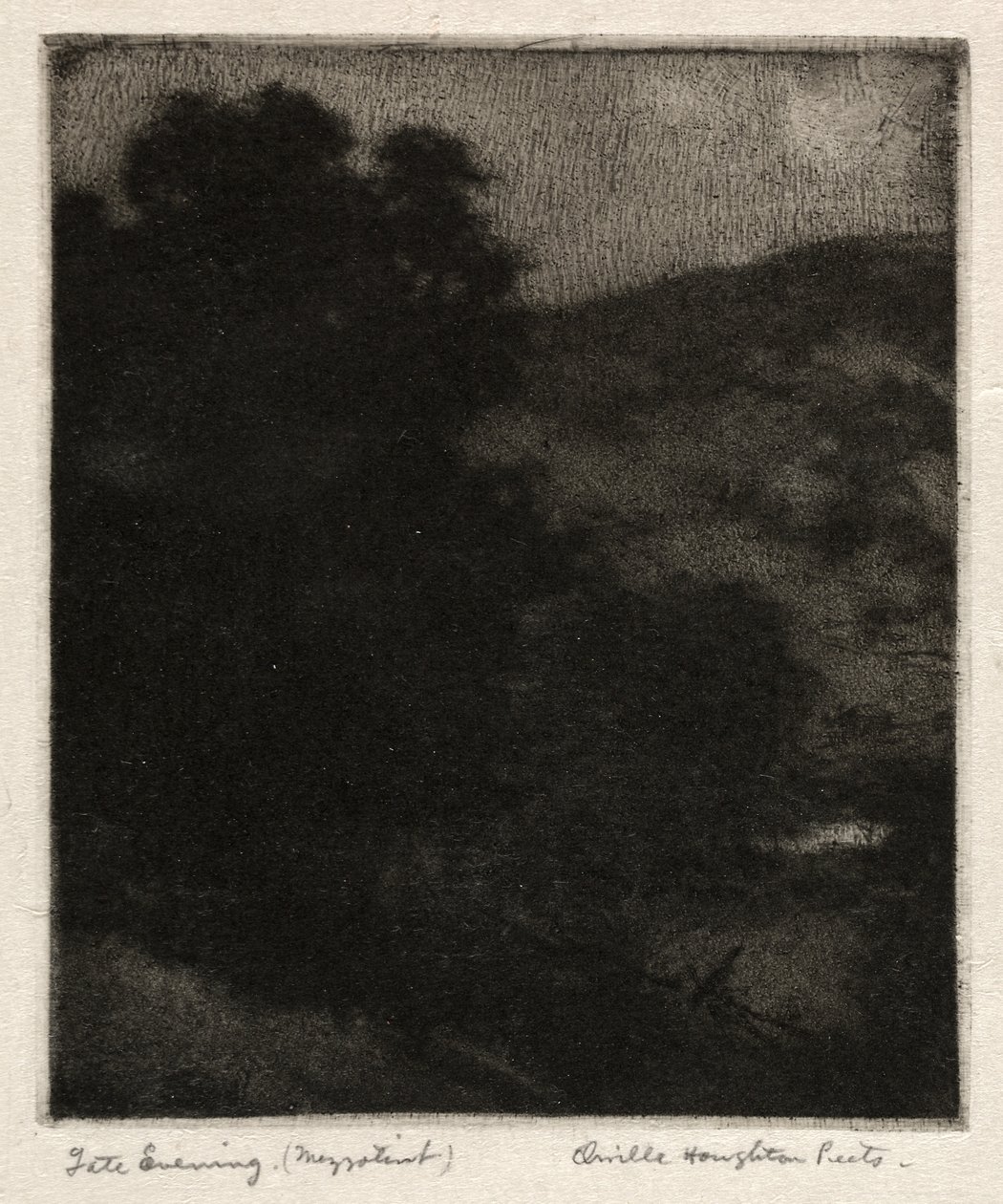 Tarde da noite de Orville Houghton Peets