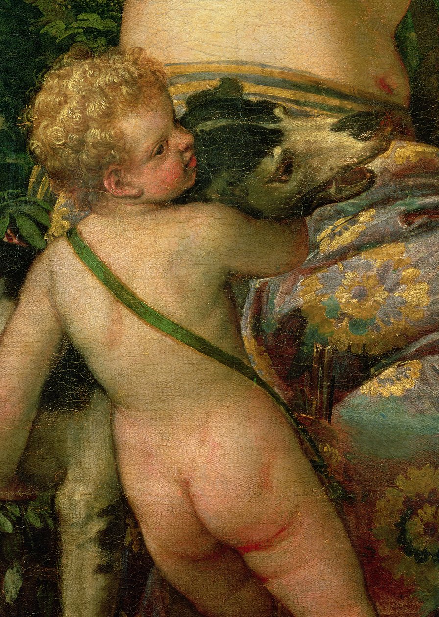 Cupido, detalhe de Vênus e Adonis, 1580 (detalhe de 38598) de Paolo Veronese