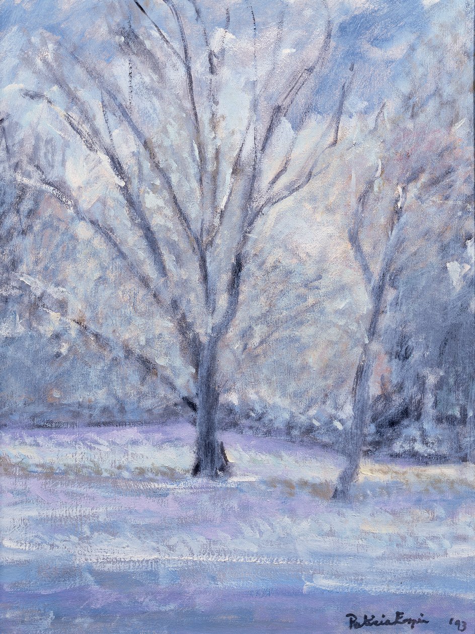 Cena de neve de Patricia Espir
