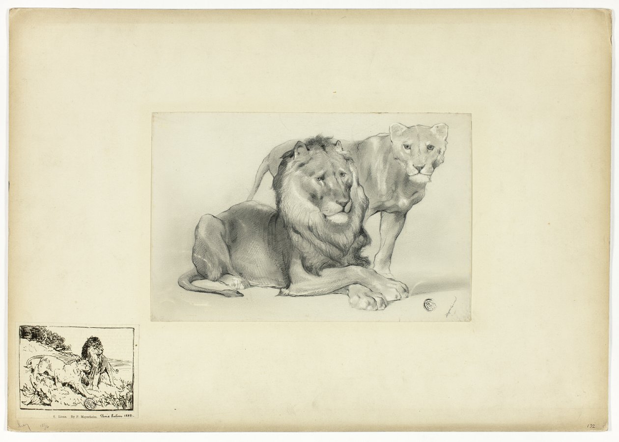 Leão e leoa de Paul Friedrich Meyerheim