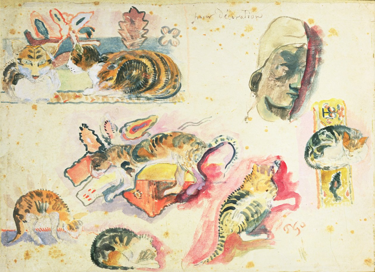 Estudo de gatos e uma cabeça de Paul Gauguin