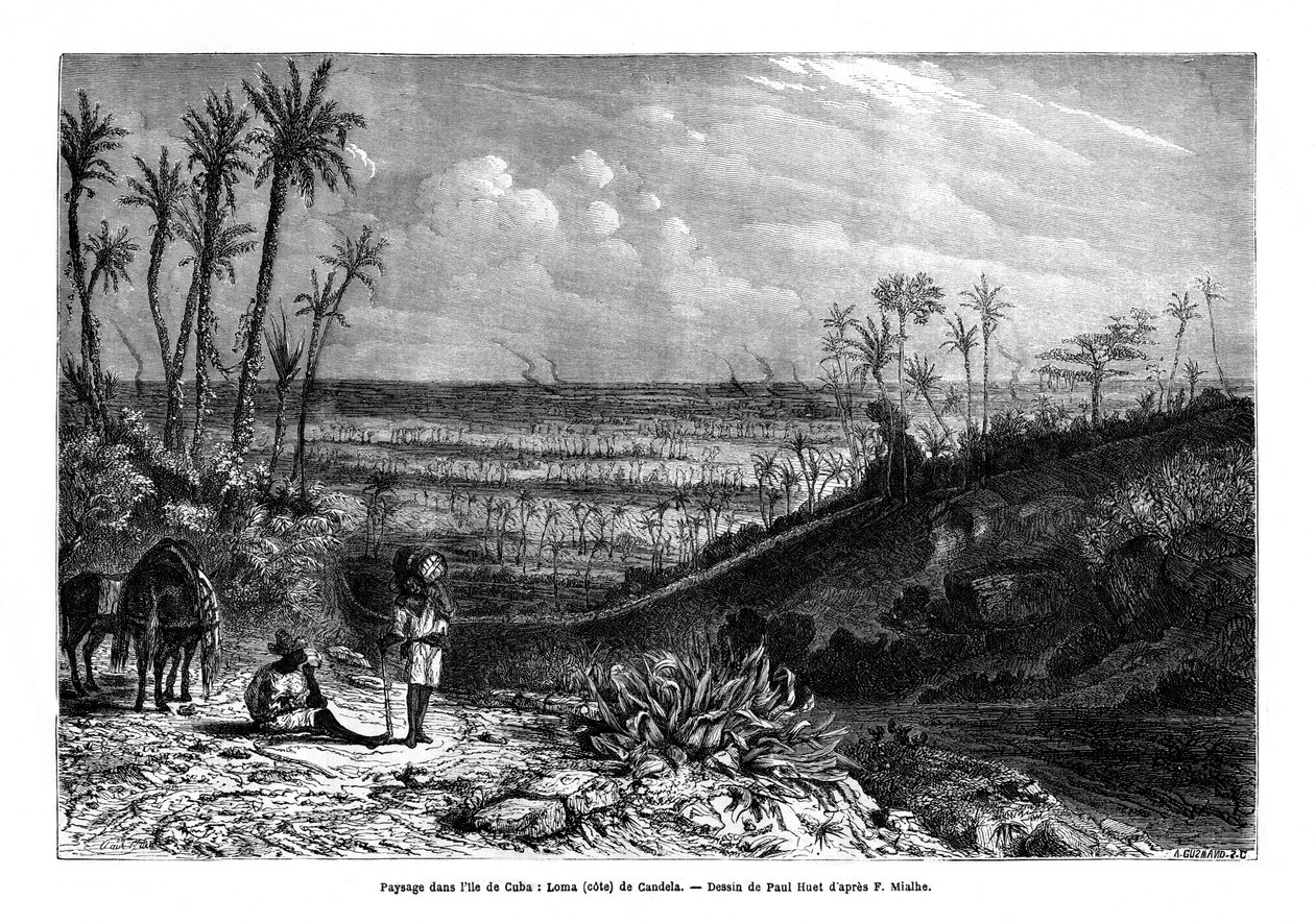 Paisagem na ilha de Cuba, 1859 de Paul Huet